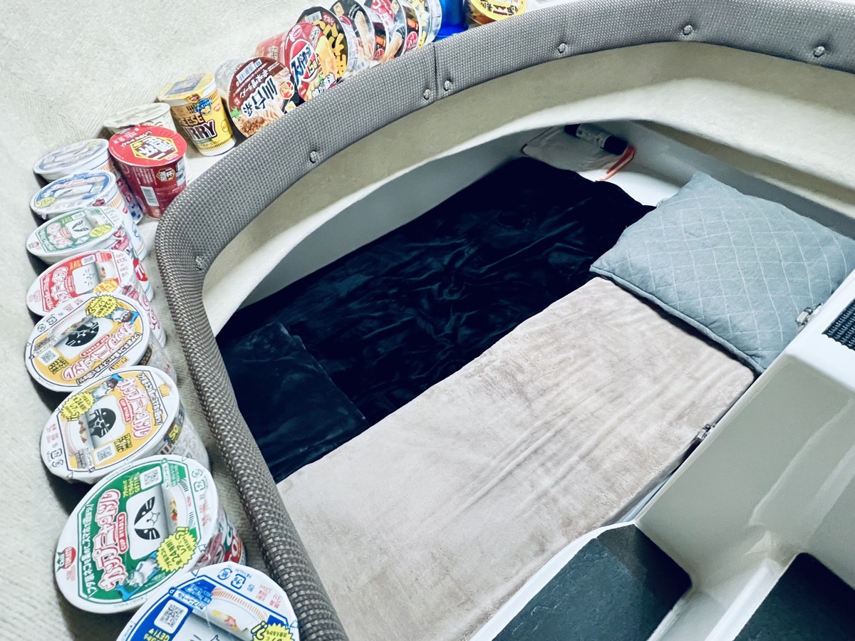 第一快星丸 写真1