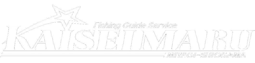 快星丸（かいせいまる）